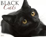 Black Cats 2011 Wall Calendar
