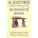 In Search of Stones: A Pilgrimage of Faith, Reason and Discovery