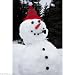 Dress Your Own Snowman Kit