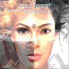 Endangered Species by  Deep Forest 