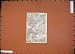 1913 COLOUR MAP GERMANY STREET PLAN JENA DORNBURG SAALE