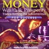 Money Wealth and Prosperity Hypnosis Program (2 CD Set)