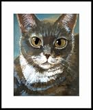 Gold Eyes Framed Mini Print by Drew Strouble