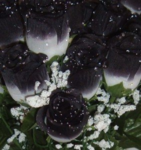 84 Silk Rose Flowers w/Raindrops - Wedding Flowers - Bridal/Floral - White/Black