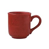 Pfaltzgraff Nuance of Red Mug