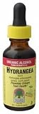 Nature's Answer Hydrangea Root 1 oz