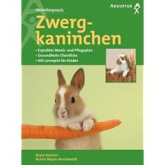 Zwergkaninchen