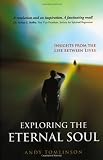Exploring the eternal soul : insights from the life between lives