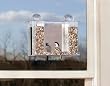 Super Songbird One Way Mirror Window Feeder