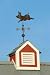 Pig Weather Vane on Red Cupola - 24