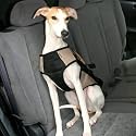 Snoozer X-Large Safety Harness in Silver X-Large