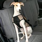 Dog Safety Harness in Silver Size: Medium (19 - 24 chest)