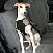 Snoozer Large Safety Harness in Silver Large Color:Silver