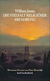 Die Vielfalt religi&ouml;ser Erfahrung: Eine Studie &uuml;ber die menschliche Natur (insel taschenbuch) - William James