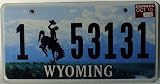 Wyoming Non-Emobssed License Plate with Black Bucking Bronco