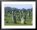 Alignments of Megalithic Standing Stones, Carnac, Morbihan, Brittany, France, Europe Collections Framed Art Poster Print by J P De Manne, 31x25