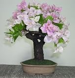Artificial Flowering Bougainvillea Bonsai Tree.