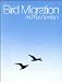 Bird Migration