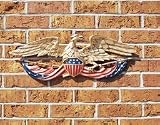 24 Wall Eagle, Color
