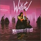 Wilderness of Mirrors