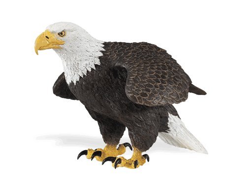 Cheap Safari LTD Incredible Creatures Bald Eagle