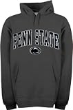 Penn State Nittany Lions Grey Acid Washed Mascot Hooded Sweatshirt