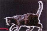 Click for more about Moonwalk. Cat in moonlight. Counted cross stitch kit - Cross my Heart.