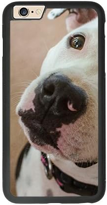 CASEU iPhone 6 Protective Case with Soft TPU Bumper and Hard Back Cover Pitbull White Muzzle Close Eye Cute Cover Case for iPhone 6