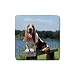 Basset Hound Rubber Square Coaster (4 pack)