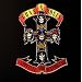 Appetite for Destruction