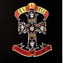 Appetite for Destruction
