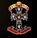 Musik (Pop) : Appetite for Destruction