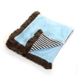 Microfiber Baby Blanket - Brown & Blue Stripe With Paisley