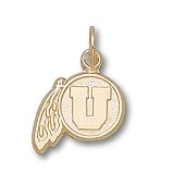 University of Utah Drum & Feather 3/8 Pendant (14kt)