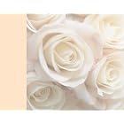 Wedding Photo Album by  Ryland Peters & Small