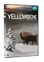 Yellowstone, la lutte pour la vie