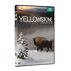 Yellowstone, la lutte pour la vie