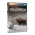 Yellowstone, la lutte pour la vie