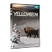 Yellowstone, la lutte pour la vie
