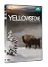 Yellowstone, la lutte pour la vie, 