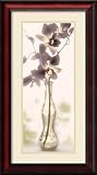 Charming Orchid Framed Print by Donna Geissler Framed