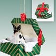 Rat Terrier Green Gift Box Dog Ornament