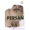 Le chat persan
