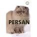 Le chat persan