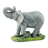 リトルディール ゾウ