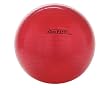 GoFit Exercise Ball (55 cm) GoFit Exercise Ball (55 cm)