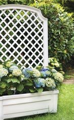 CP416 Calypso Self-Watering Planter
