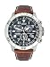 Citizen Men\'s BL5250-02L Eco-Drive Perpetual Calendar Chronograph Watch