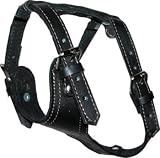 1 1/4 Black Leather Harness - Medium (Fits neck size 16-22) (Body size 24-31)