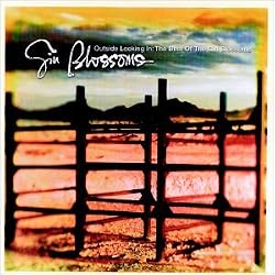 Outside Looking In: The Best Of Gin Blossoms